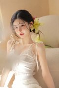 新景象形象材料阐发
